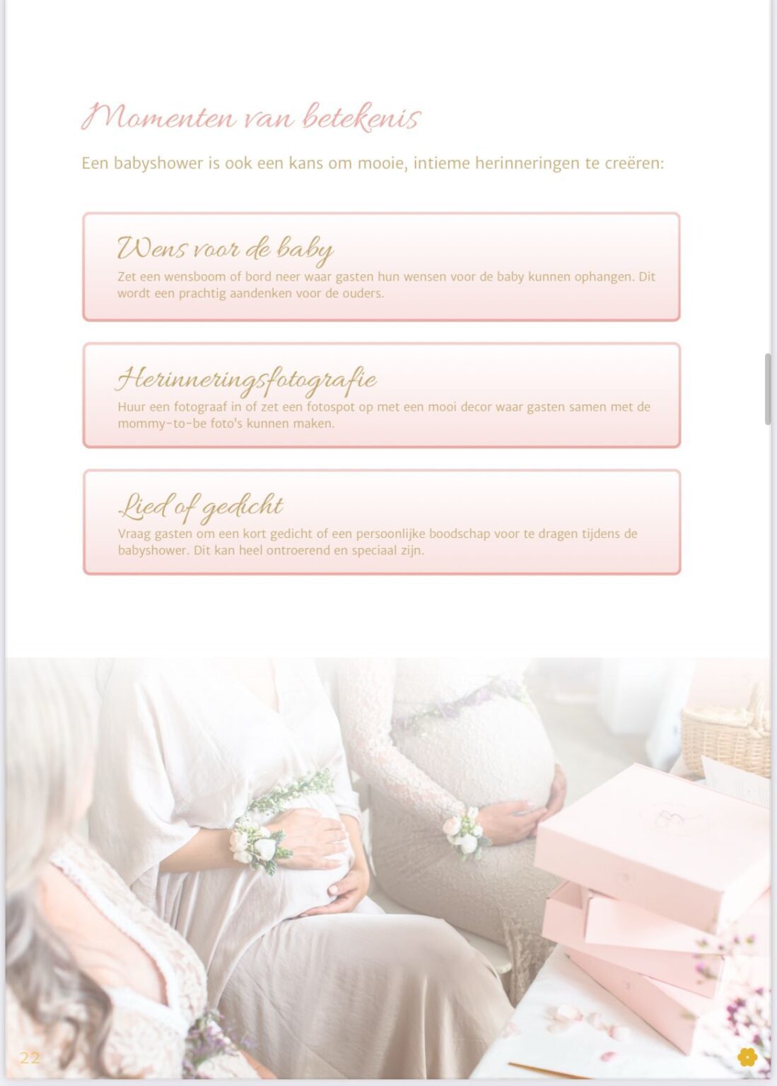 De Babyshower Gids preview